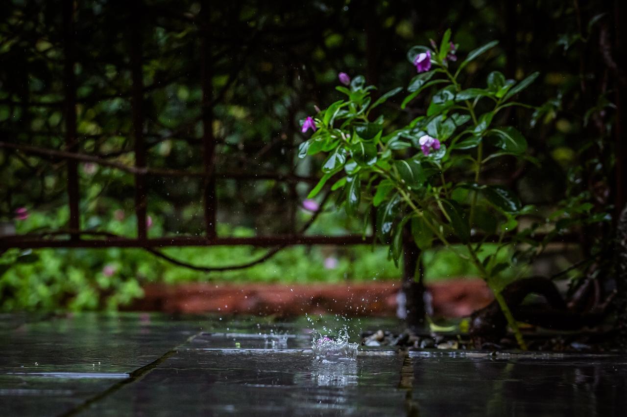 Mingtang Garden Cottage 名堂花园度假屋 Pokhara Dış mekan fotoğraf