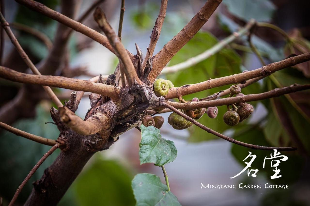 Mingtang Garden Cottage 名堂花园度假屋 Pokhara Dış mekan fotoğraf